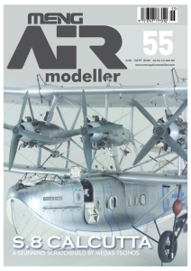 AIR Modeller 55