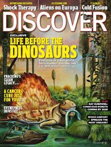Discover Magazine 2012-11