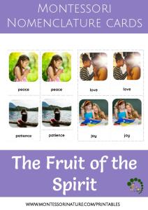Fruits Of The Spirit Montessori Nature (1)