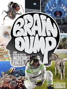How It Works Brain Dump Issue 027 2015
